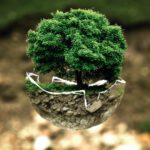 environmental-protection-683437